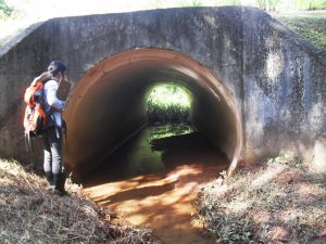 monitoramento_ambiental3_joinville_ambient